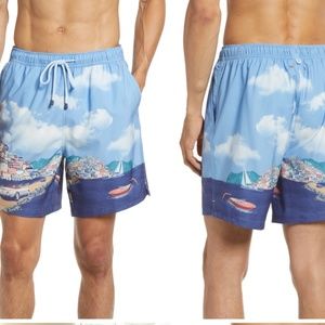 Peter Millar Seaside Road to Riviera Swim Trunks Print Size M  $98